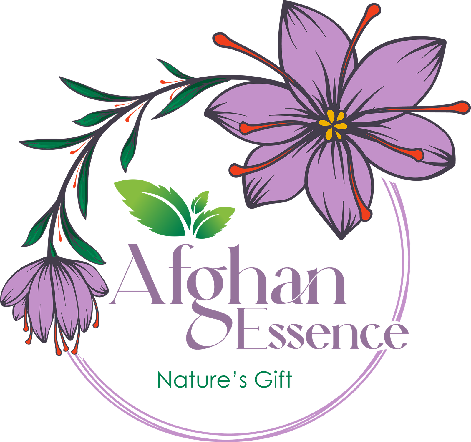 afghanessence.com
